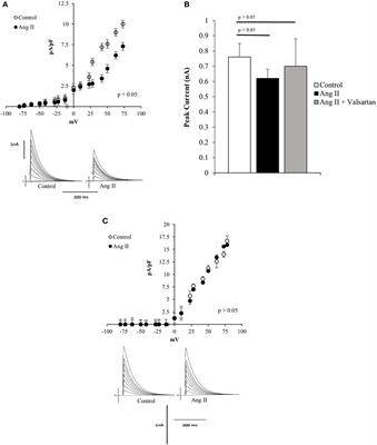 Angiotensins and Huntington’s Disease: A Study on Immortalized Progenitor Striatal Cell Lines